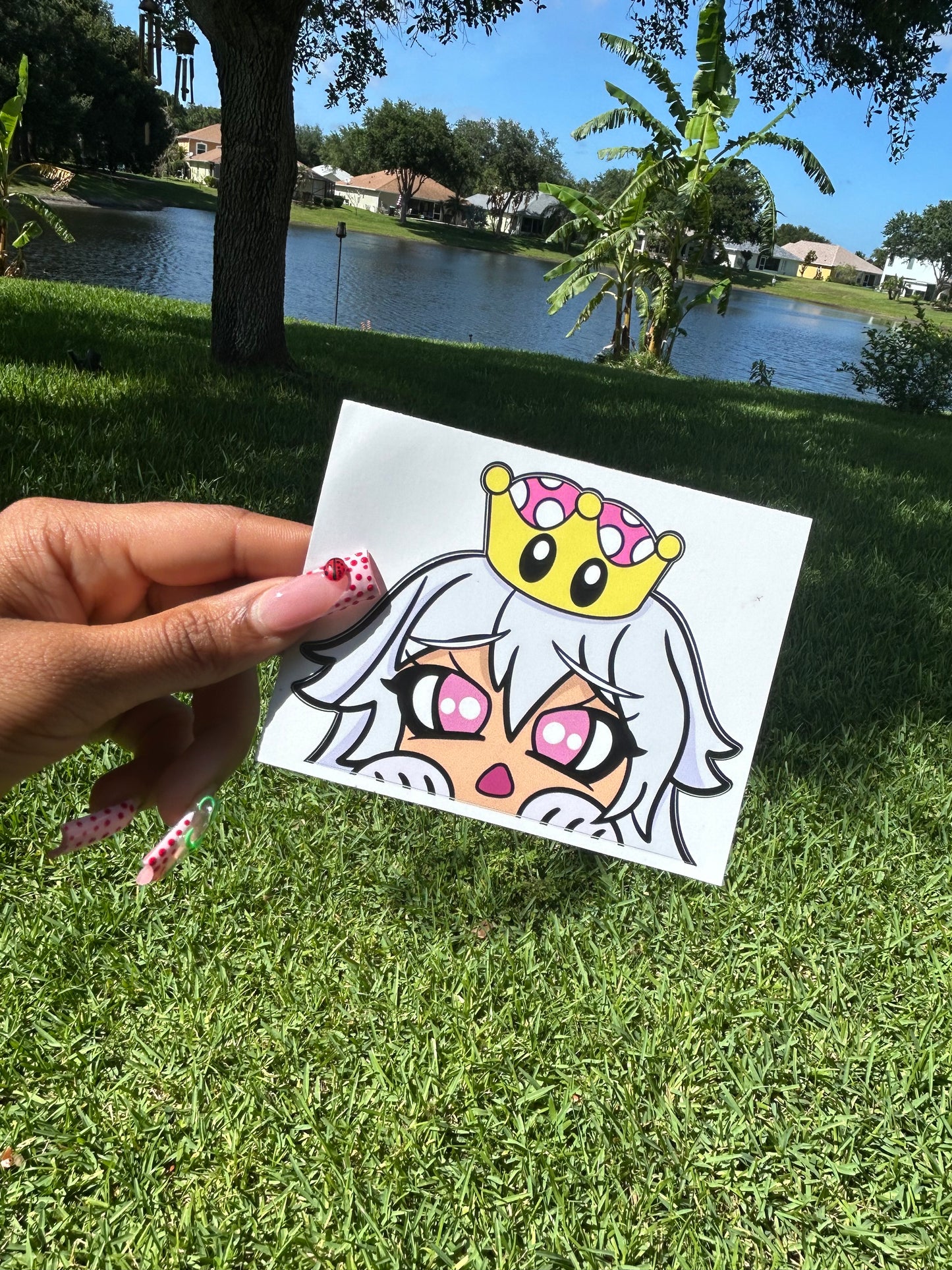 Booette Peeker Sticker